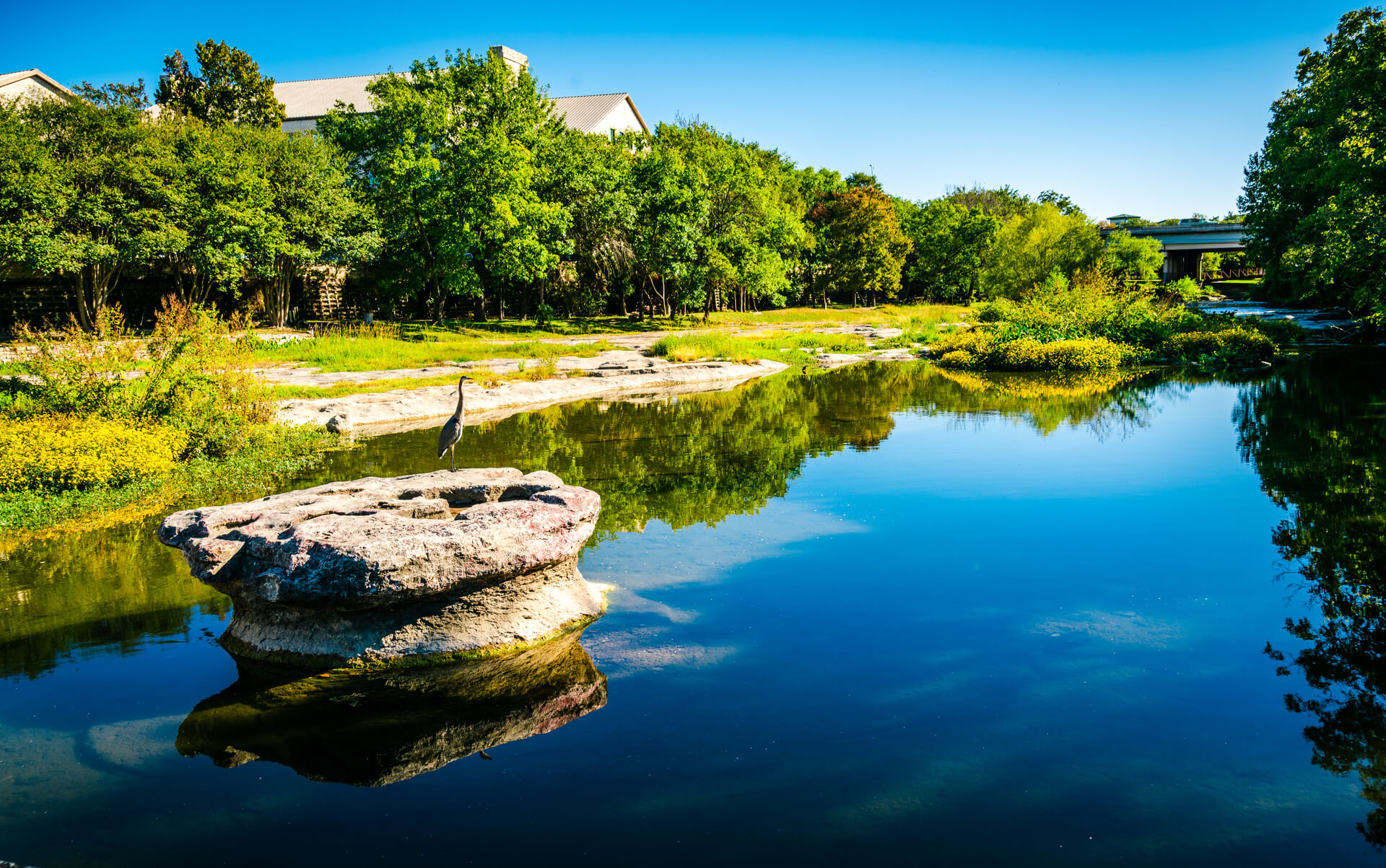 Lighthouse family therapy - Texas location page Round Rock view of the lake with green trees